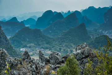 三年级共读书目推荐必读