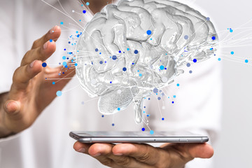 关于植树造林的俗语