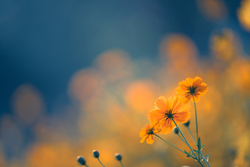 员工需改进方面怎么写