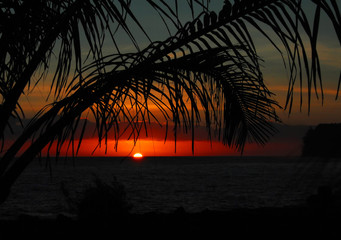 女性的性暗示都有什么？