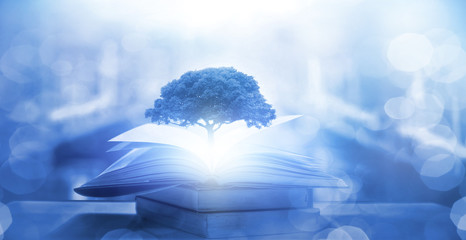 《古董局中局》老朝奉是谁？