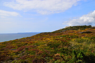 关于数学的书手抄报 数学的手抄报