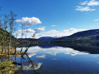 员工需改进方面怎么写