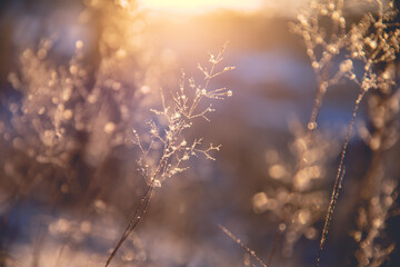 关于数学的书手抄报 数学的手抄报