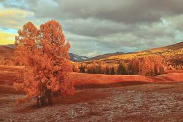 姐妹聚会发朋友圈说说