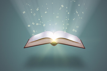 幼儿园课程设计包括哪些要素