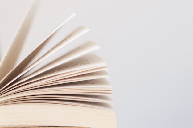 幼儿园课程设计包括哪些要素