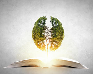 关于数学的书手抄报 数学的手抄报