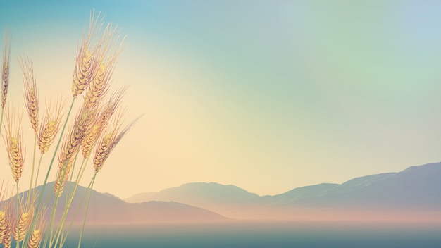 女性的性暗示都有什么？