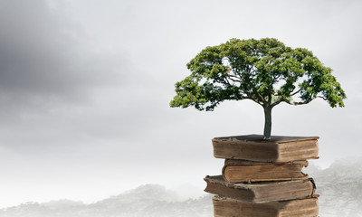 电话工作人员回访客户有哪些原则