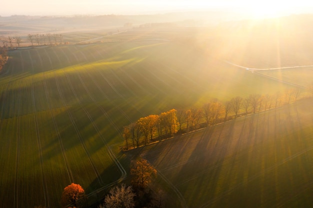 无刷电机和有刷电机的区别是什么？